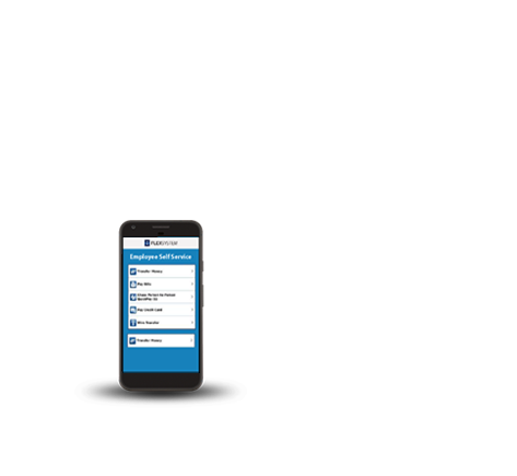 FlexSystem solution phone view