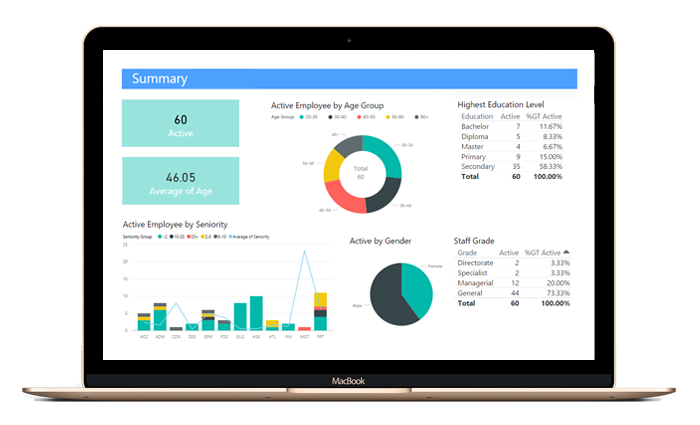 FlexSystem human resources management system workforce analysis